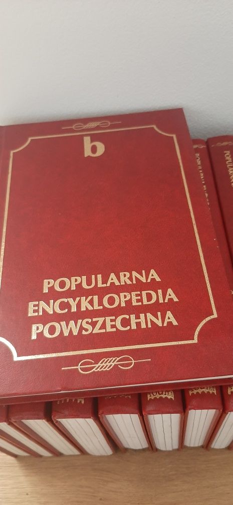 16sztksiążek - Popularna Encyklopedia  Powszechna.