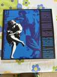 Vinil guns n roses