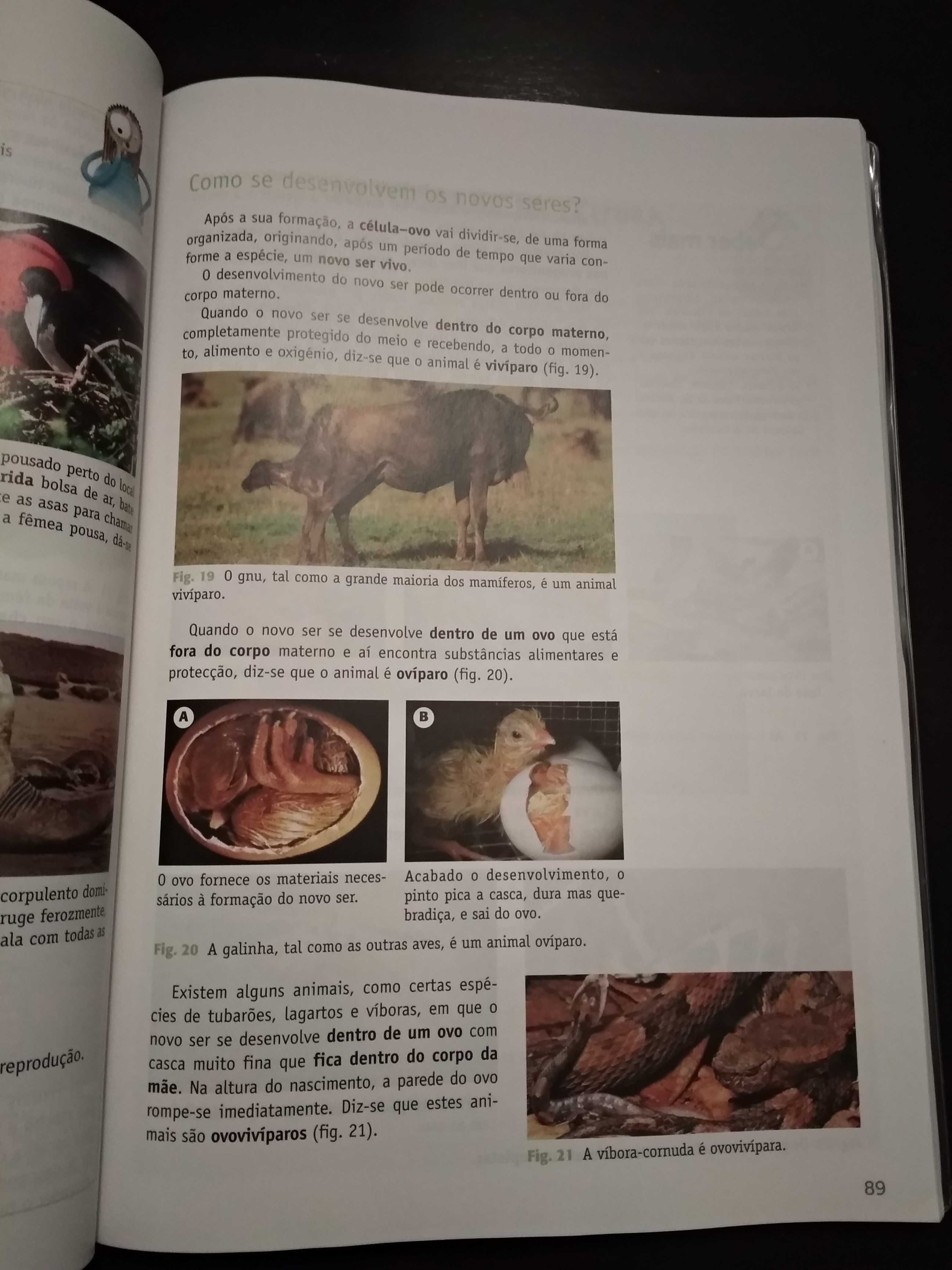 Manual e caderno de atividades Ciências da Natureza 5.º ano