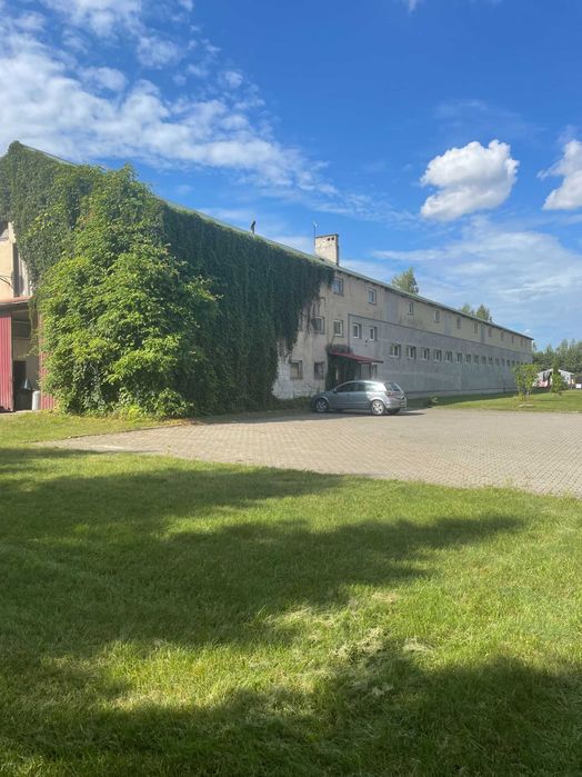 HALE O POW.2000m2+200m2 na DZIAŁCE 9000m2 k/PUŁTUSKA