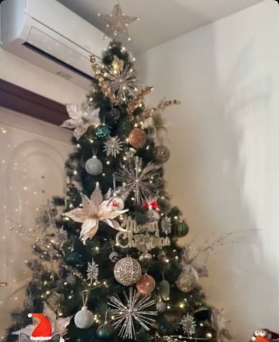 Pinheiro de Natal de 2.40 metros