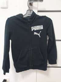 Bluza puma dla dziewczynki