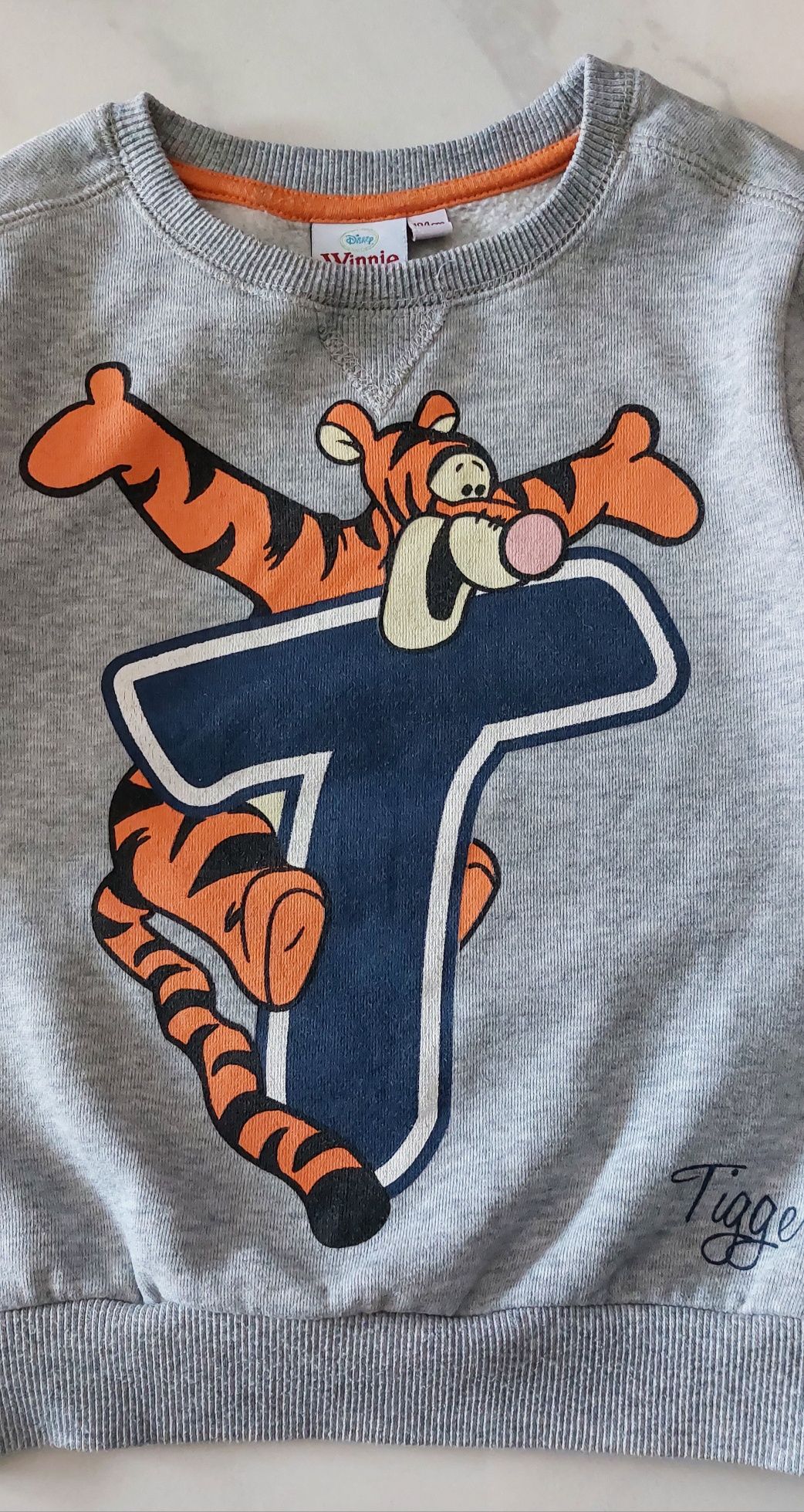 Bluza z tygryskiem Cool Club 104 cm