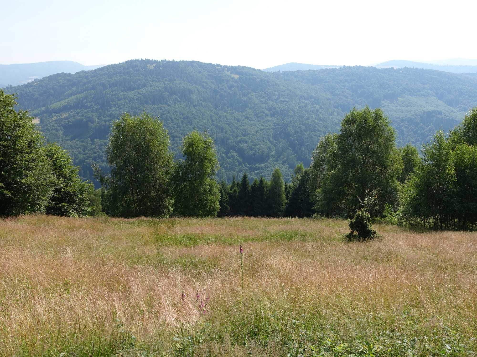 Brenna 2,53 ha inwestycyjna blisko wyciągu orczykowego piękna panorama