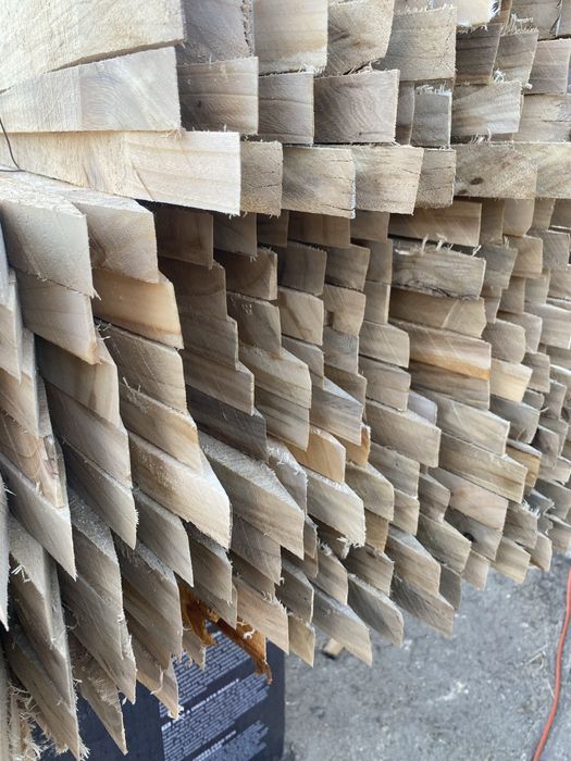 Paliki/tyczki do drzewek/pomidorów/WYSYLKA