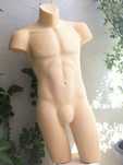Busto de Homem