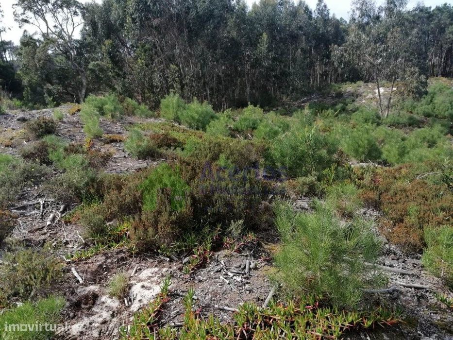 Terreno Rústico | Béltico