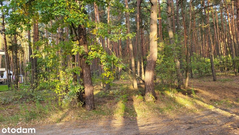 Wyjątkowa działka pod zabudowę w mieście blisko lasu / A unique plot