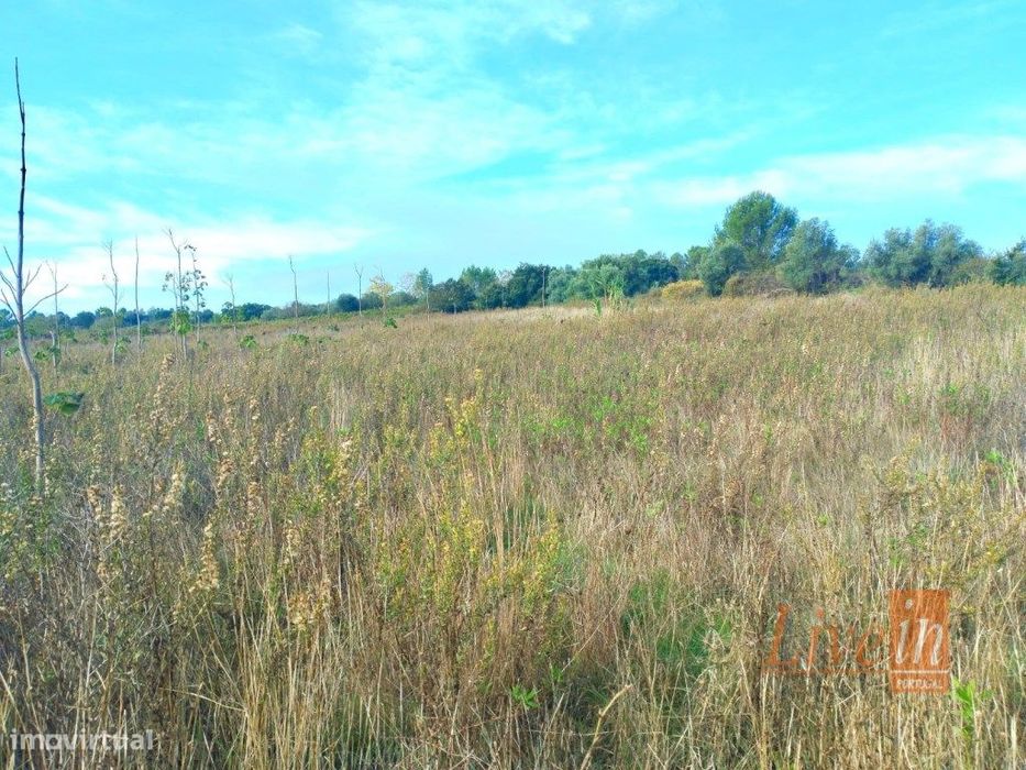Terreno em Cabanas do Chão com 50280 m²