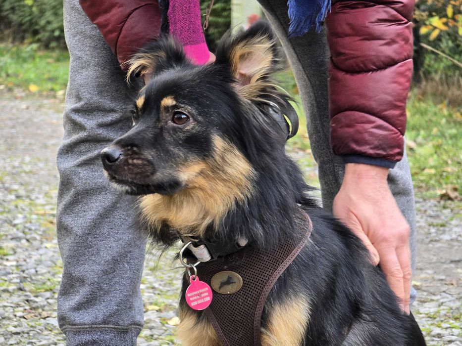 Lady - młodziutka, przemiła, śliczna