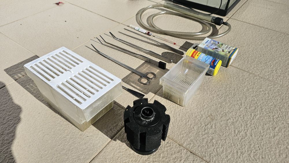 Aquário com kit de água quente e plantas