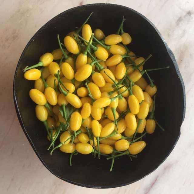 Pimenta Cumarí Amarela.