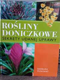 Rośliny doniczkowe domowe poradnik