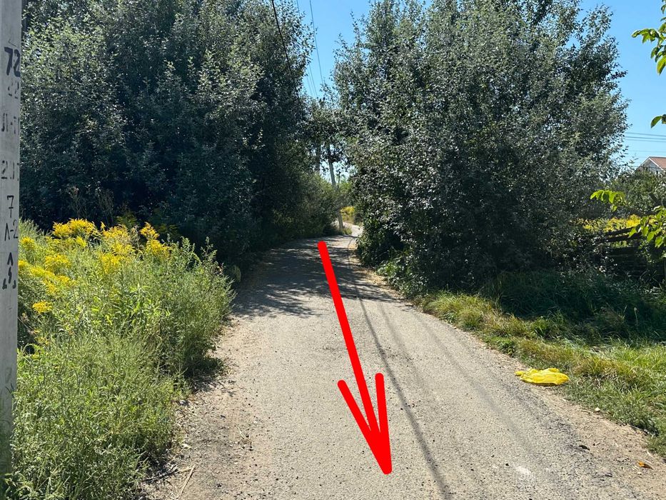 с.Тарасівка 25 соток під будівництво будинку, ділиться