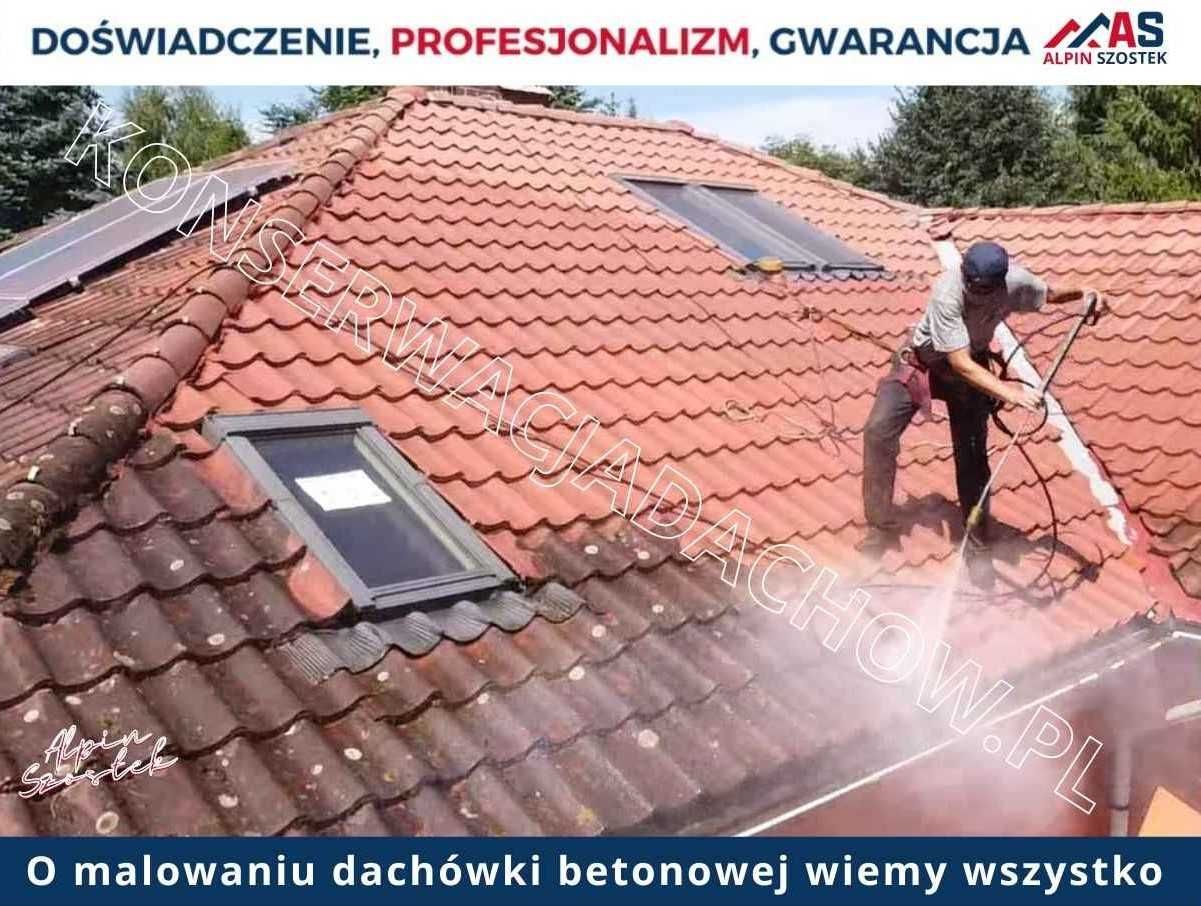 Malowanie dachówki Betonowej - alpinszostek.pl - NOWOCOAT