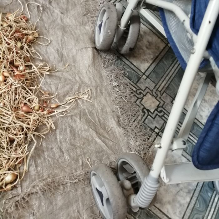 Коляска, тросточка