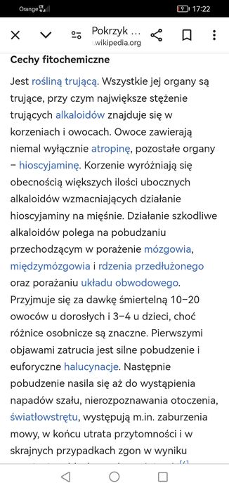 Jagoda wilcza jagoda