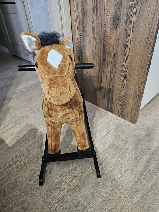 Konik na biegunach.