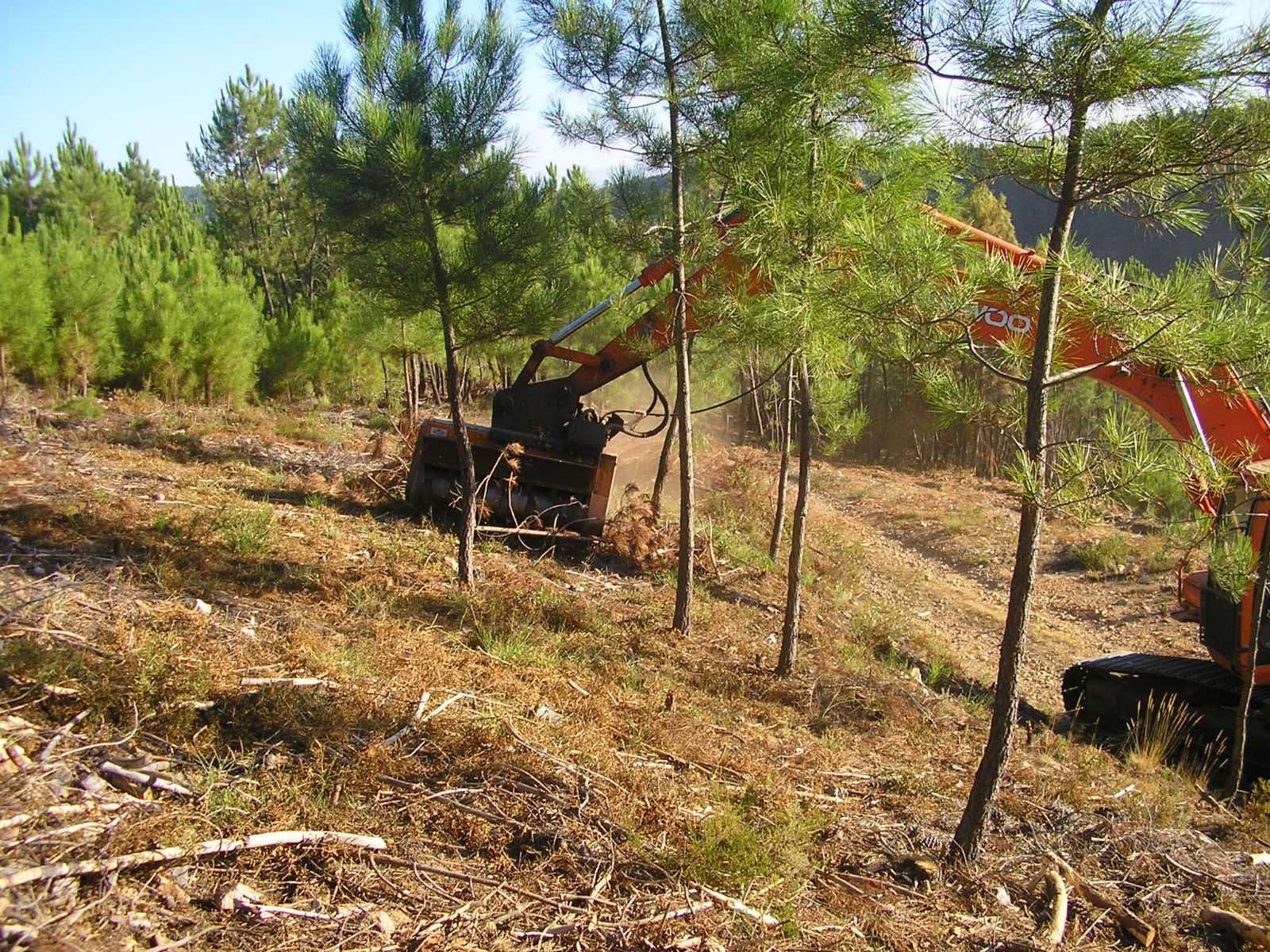 Limpeza de terrenos (com destroçador)