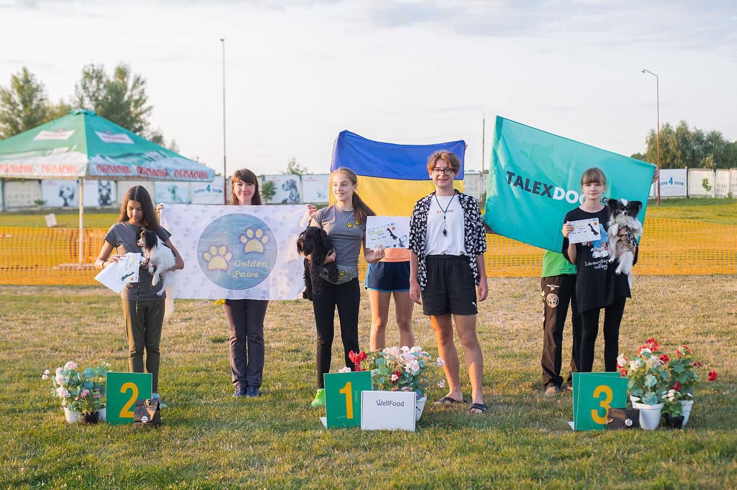 Дресирування собак усіх порід: слухняність, спорт з собакою (аджиліті)