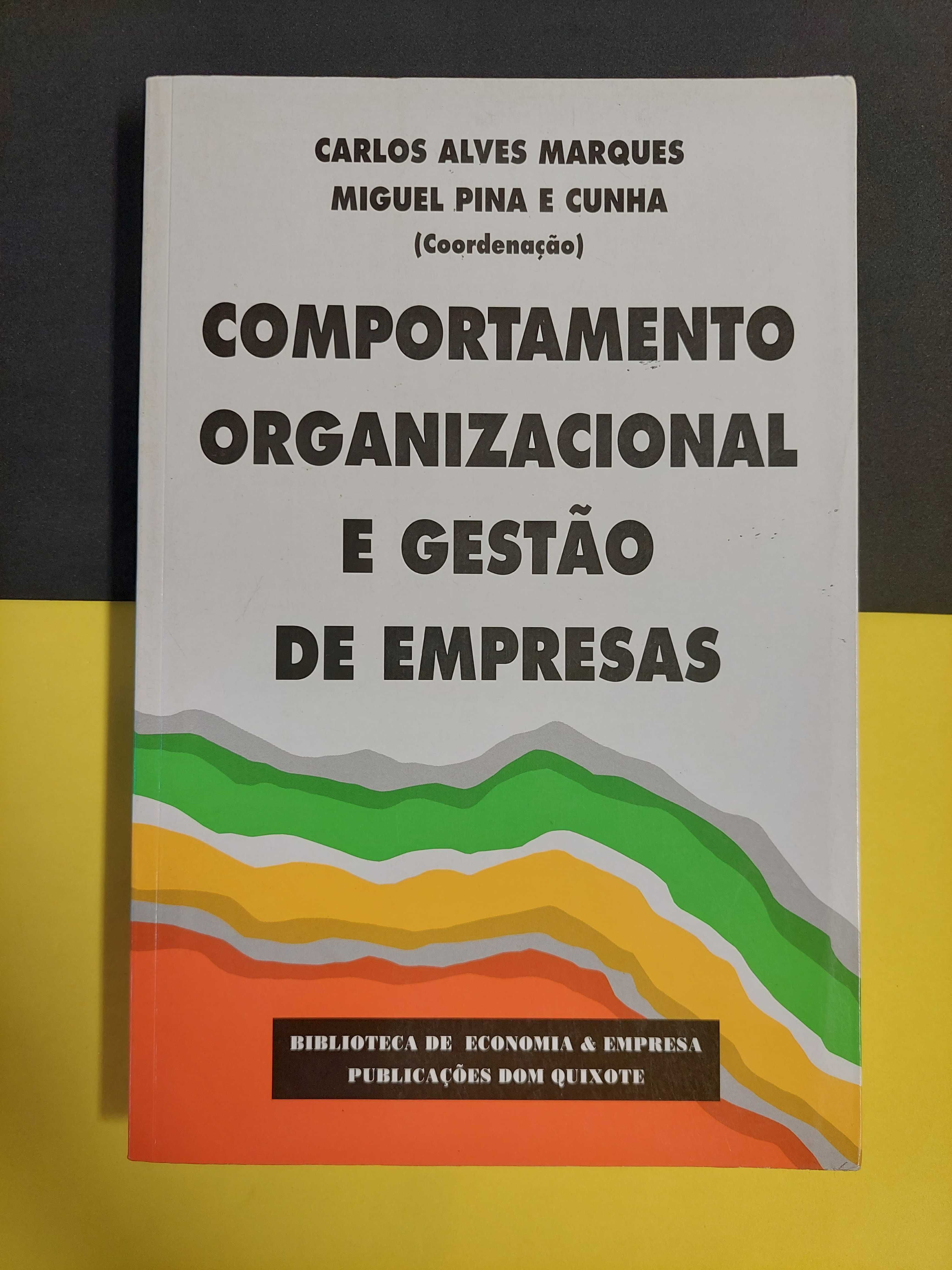 Comportamento organizacional e gestão de empresas