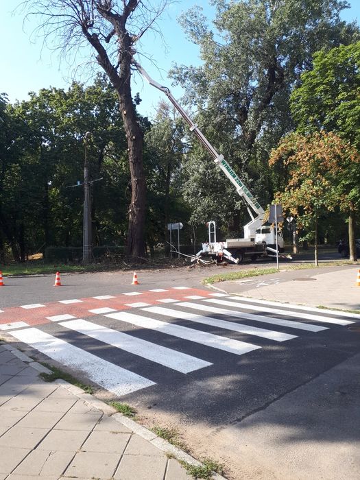 Wycinka drzew oraz przycinanie   z podnośnika  zwyżka Toruń wynajem