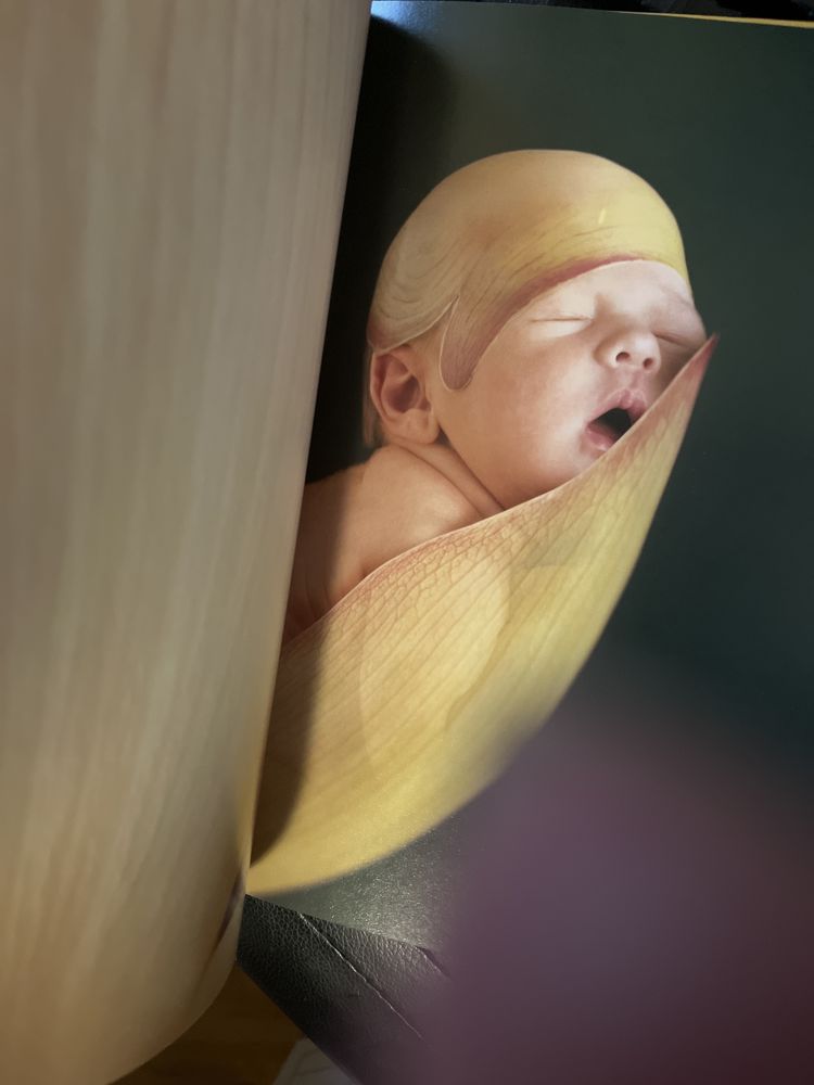Moje pierwsze pięć lat. Anne Geddes