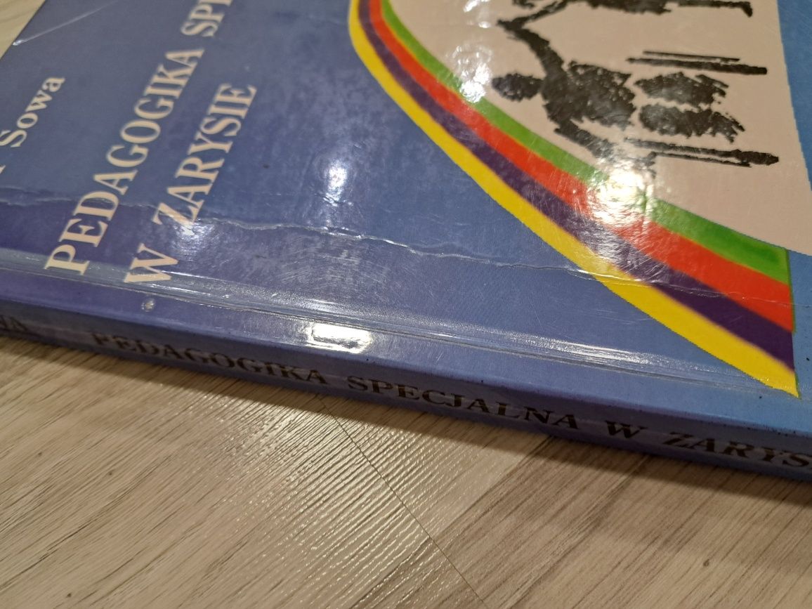 Pedagogika specjalna w zarysie Sowa