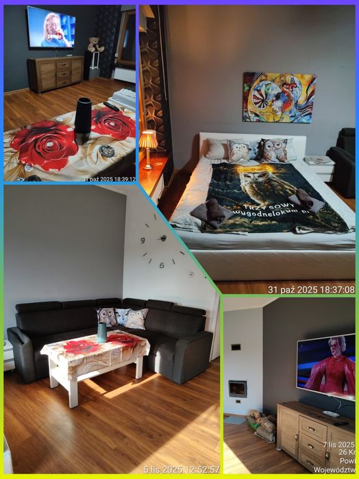 Prywatny pokój do wynajęcia w systemie hotelowym