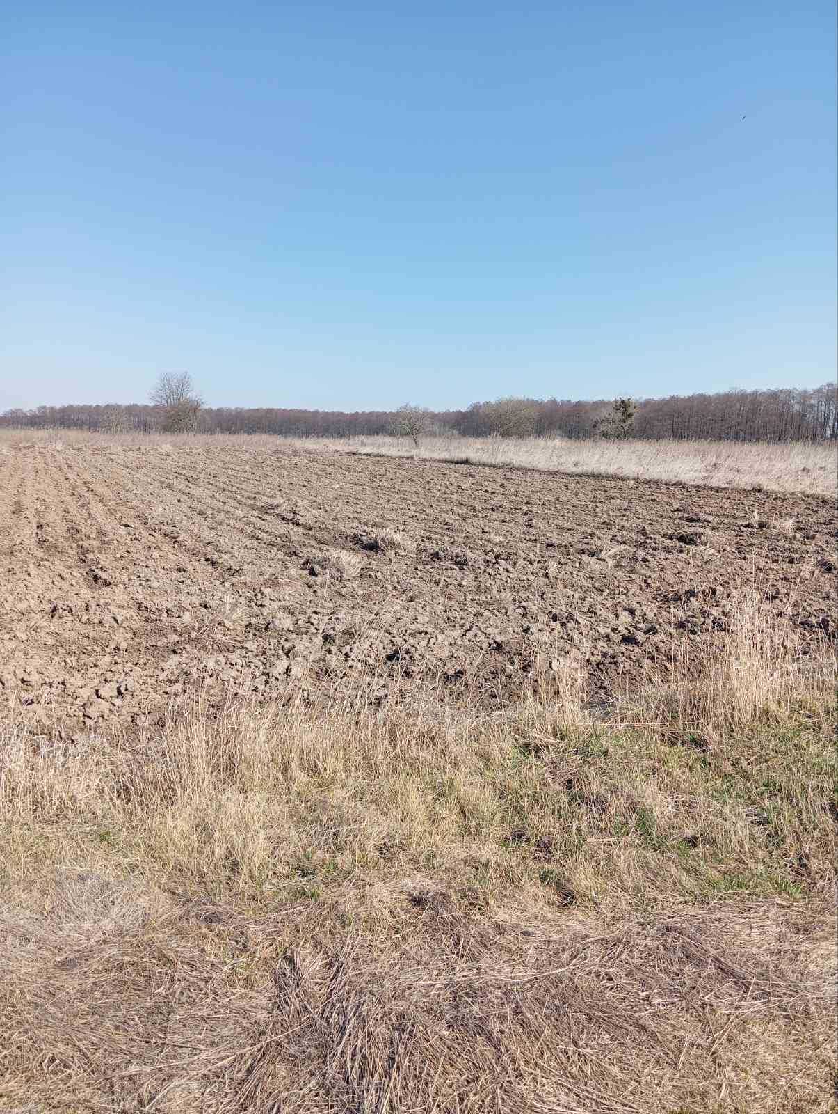 (5) Продам земельну ділянку в Стижавці 8916
