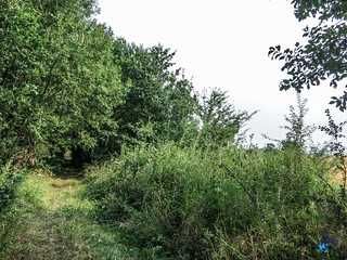 Аренда участка под огород.