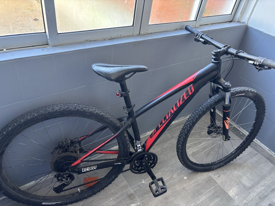 specialized roda 29