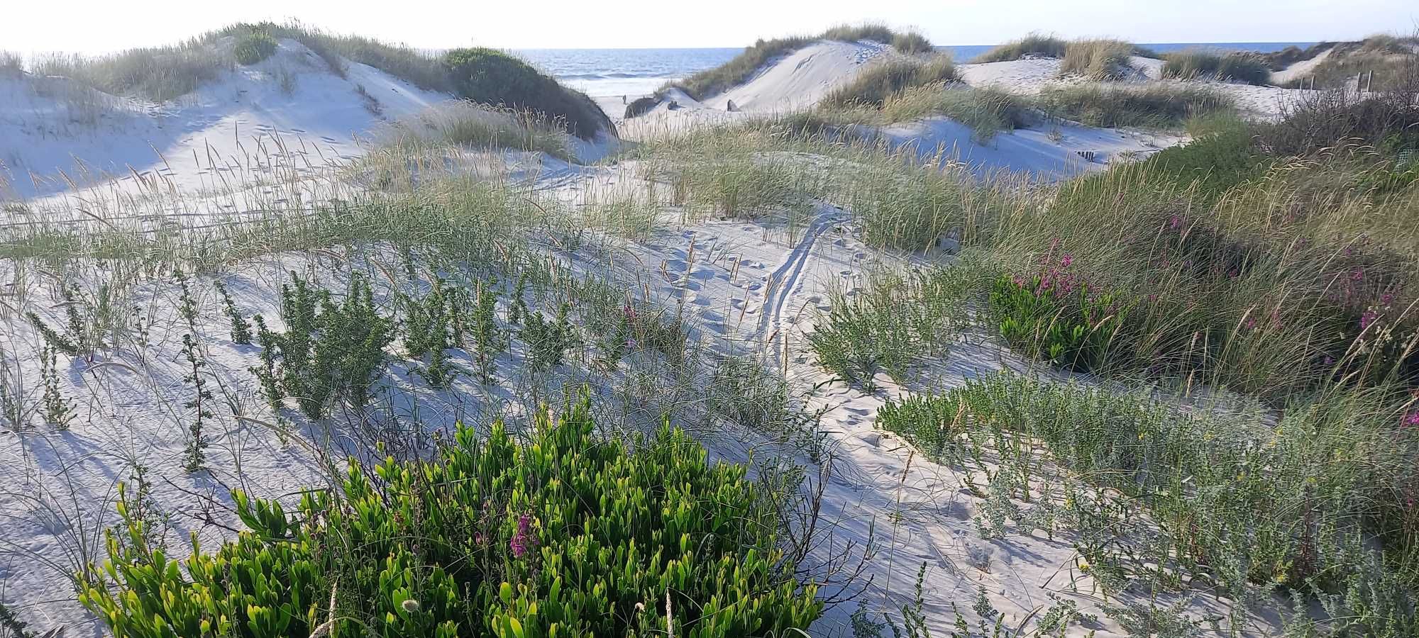 Praia da Torreira Aveiro (Mês de Agosto)