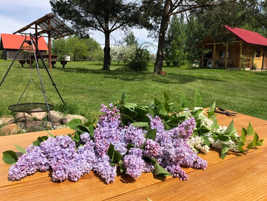 Pokoje gościnne, nocleg, kwatera pod Białymstokiem (Porosły)