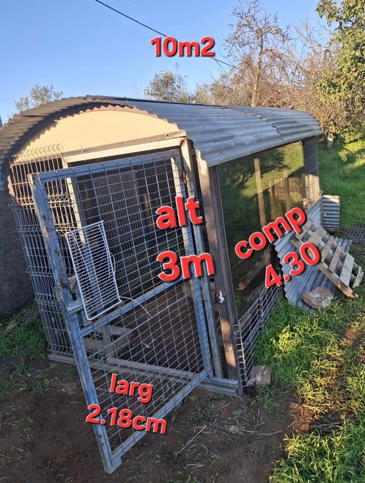 Abrigo, arrumos, Canil