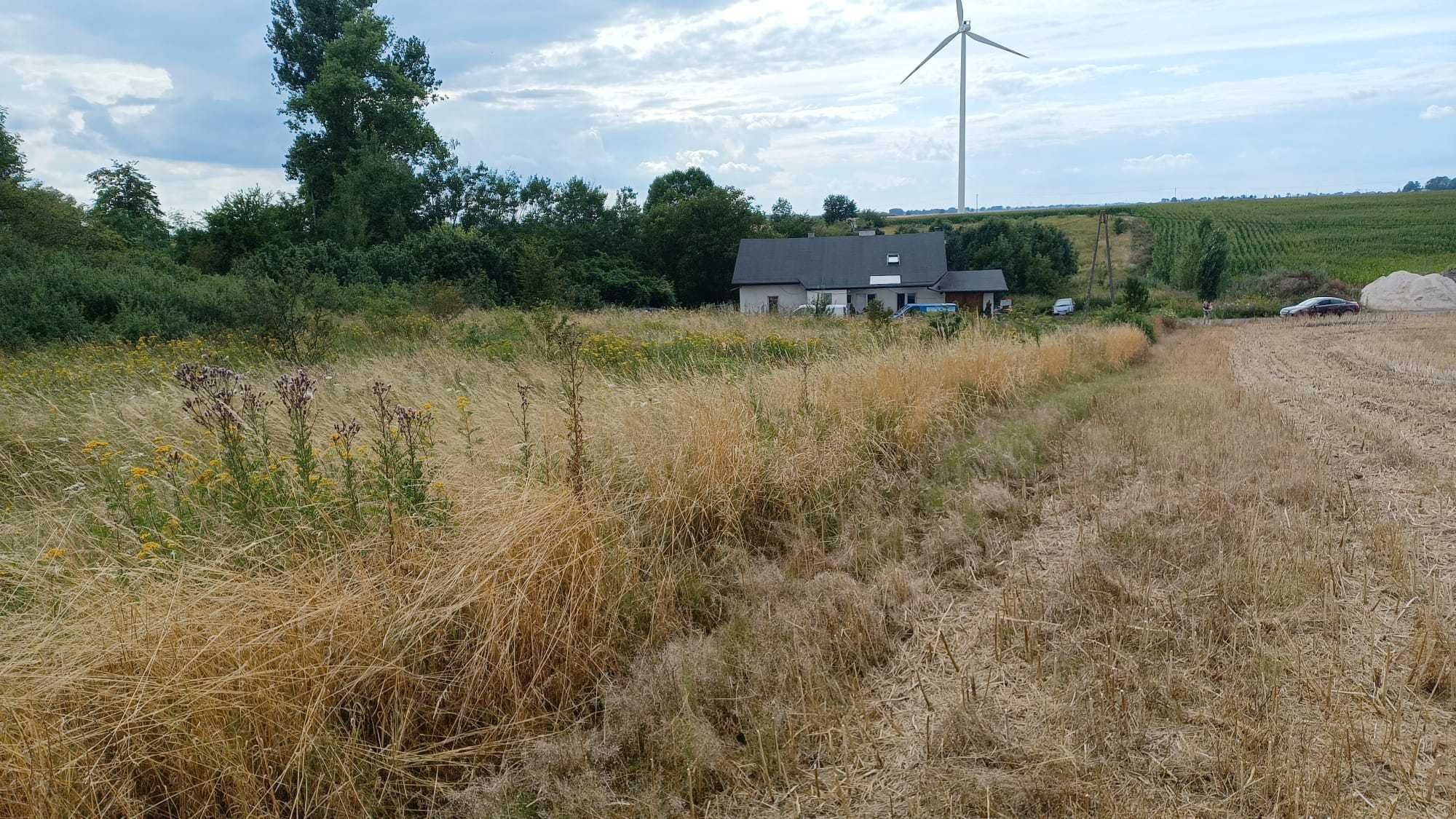 Sprzedam ziemię Skąpe Chełmża 1.130 ha