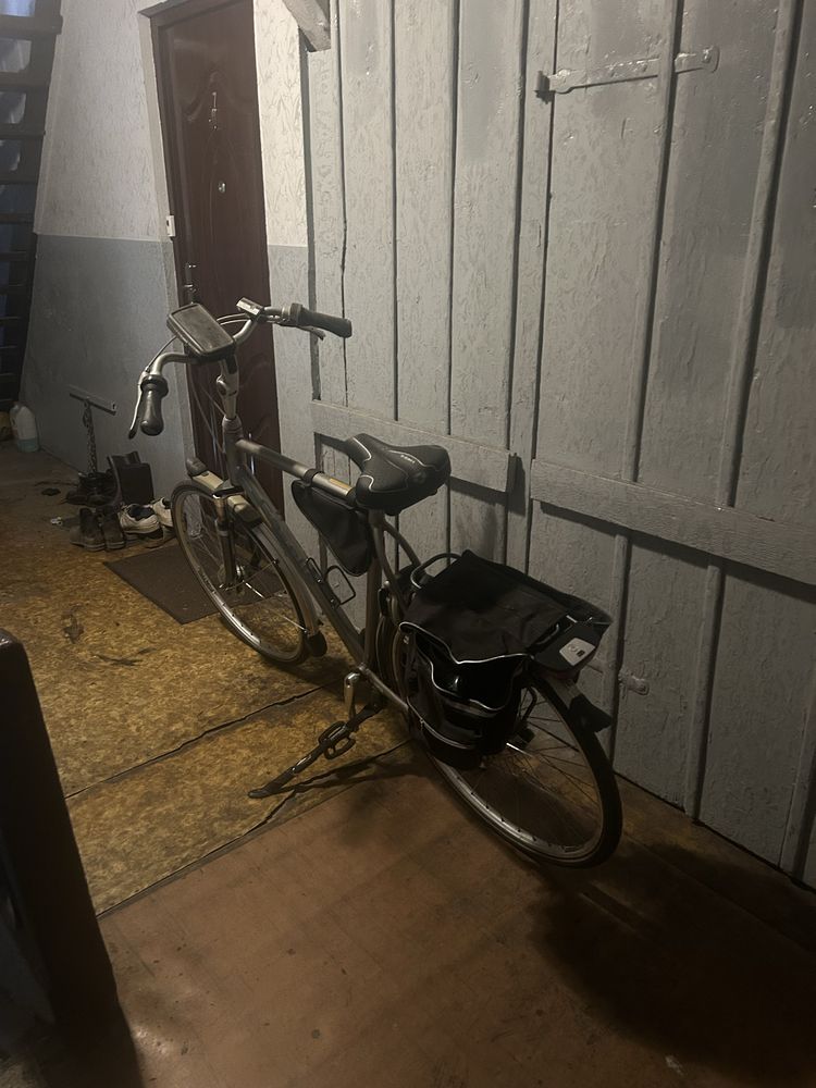 Gazelle orange 120