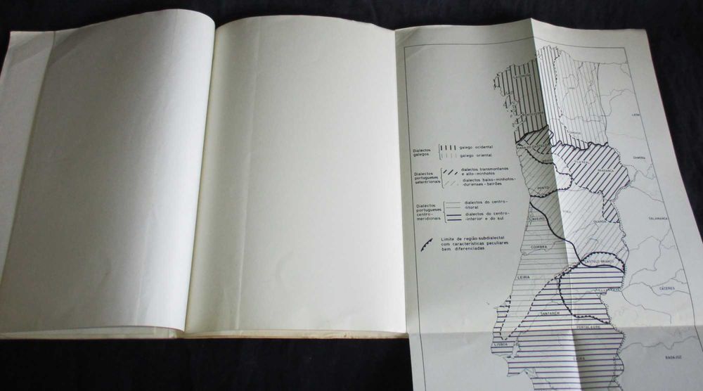 Livro Nova Proposta de Classificação dos Dialectos Galego-Portugueses