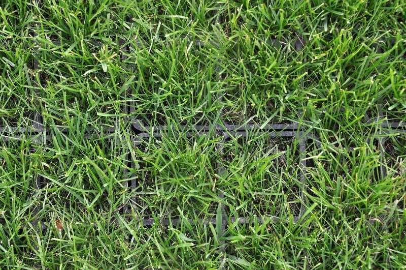 Kratka parkingowa, kostka, ekokratka, ekoparking 2 klasa