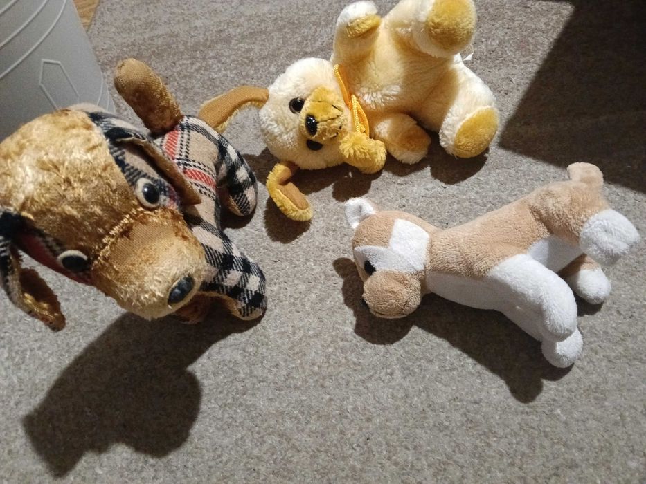 zestaw pluszaków pieski