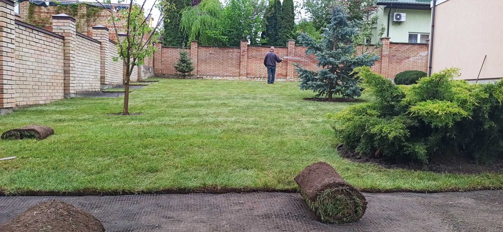 Укладання рулонного газону. Послуги озеленення. Ландшафтний дизайн