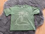 Koszulka t-shirt zara