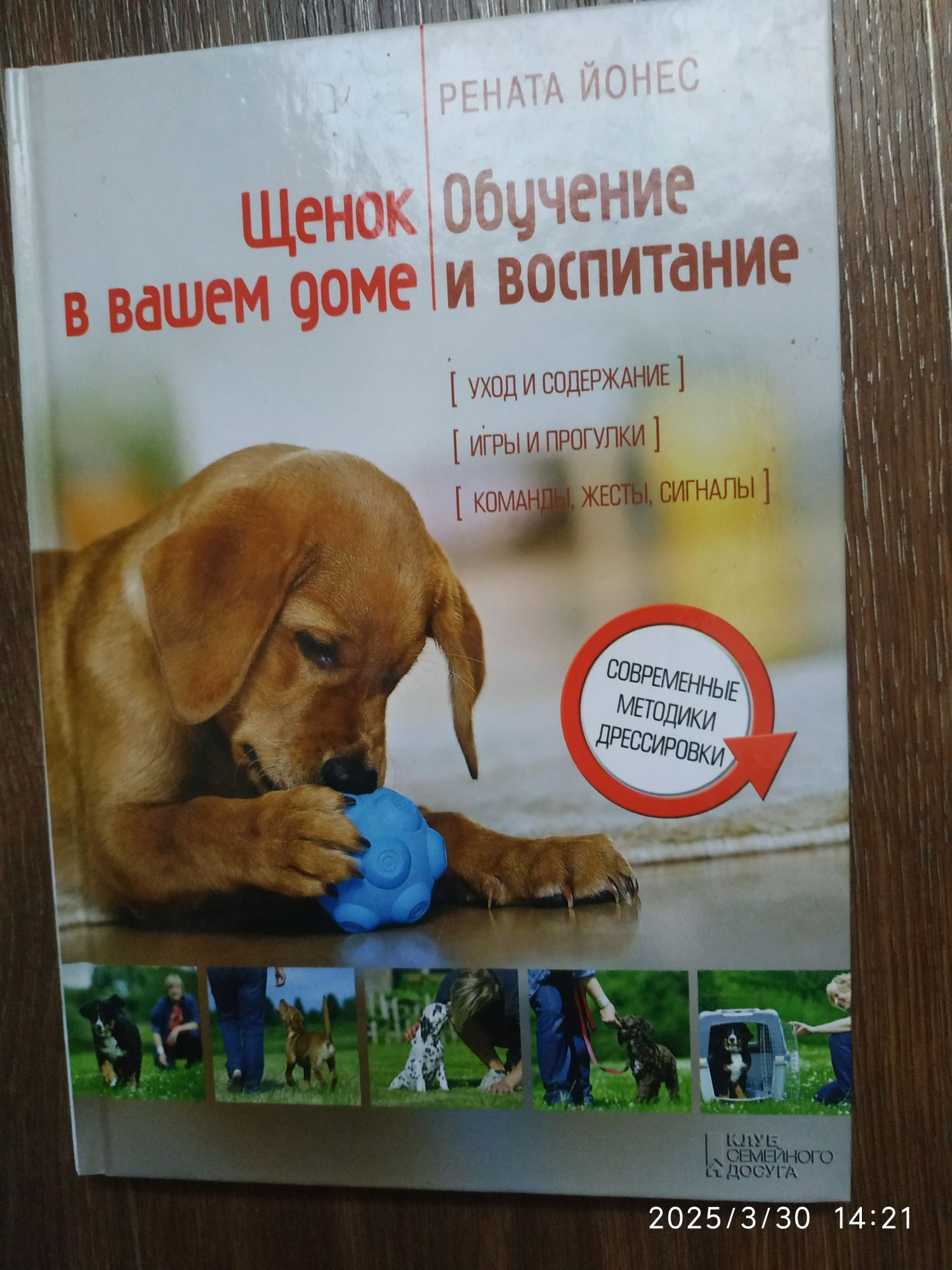 Всё о рыбалке в картинках. Щенок в доме