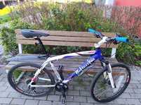 Rower gorski Bottecchia 26C