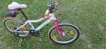 Rower Kross Rica 20