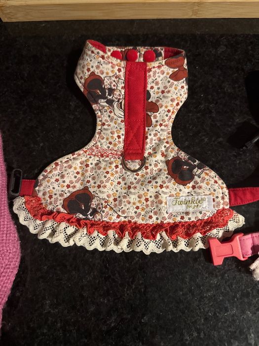 Roupa/Vestuário Chihuahua ( cão ou gato bebe)