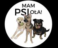 "Mam PSIoła" - behawiorysta zwierząt, szkolenie psów, petsitter