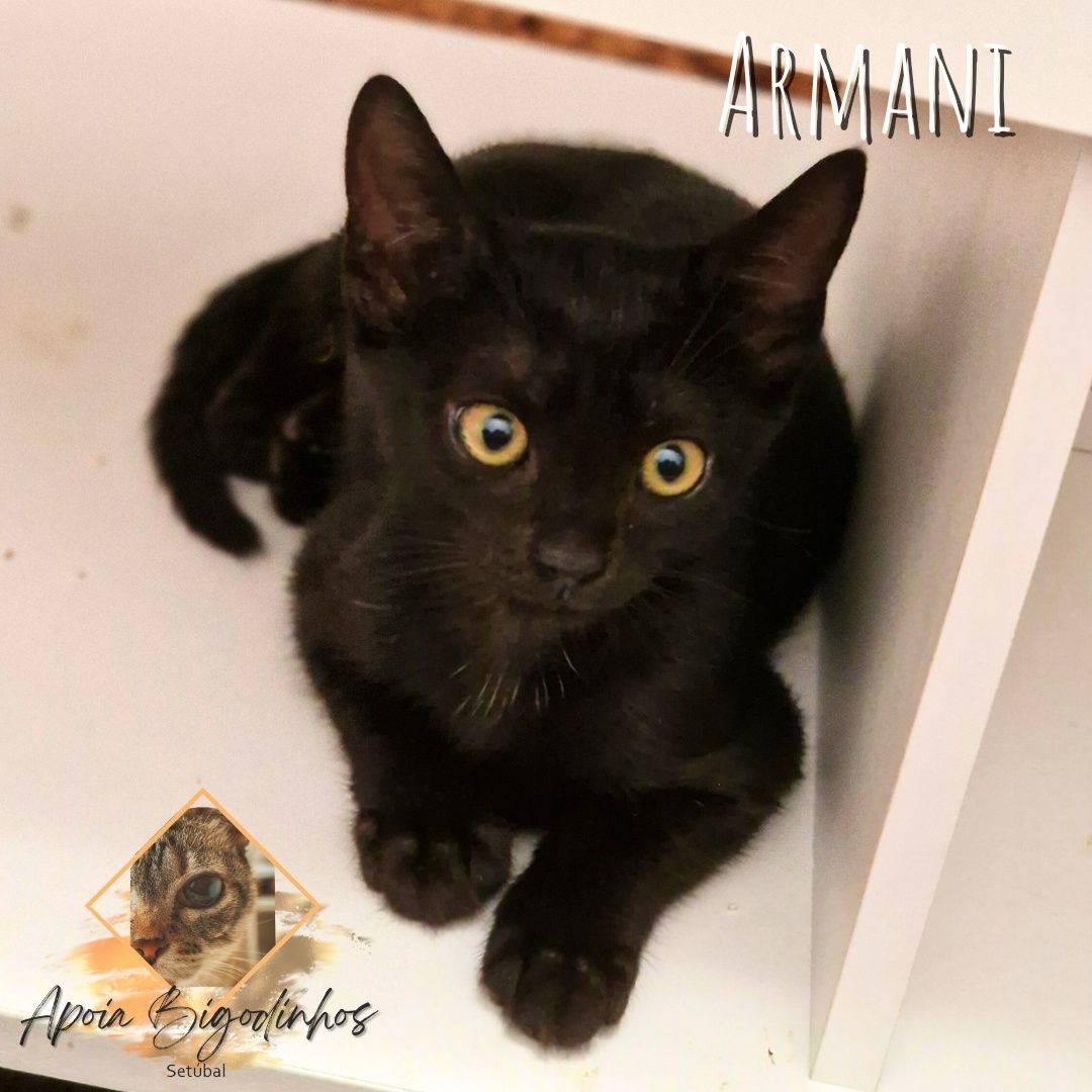 Bebe para Adopção - Setúbal/Lisboa