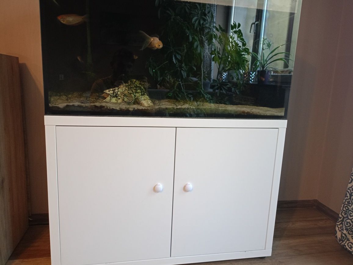 Zestaw 200l z rybkami