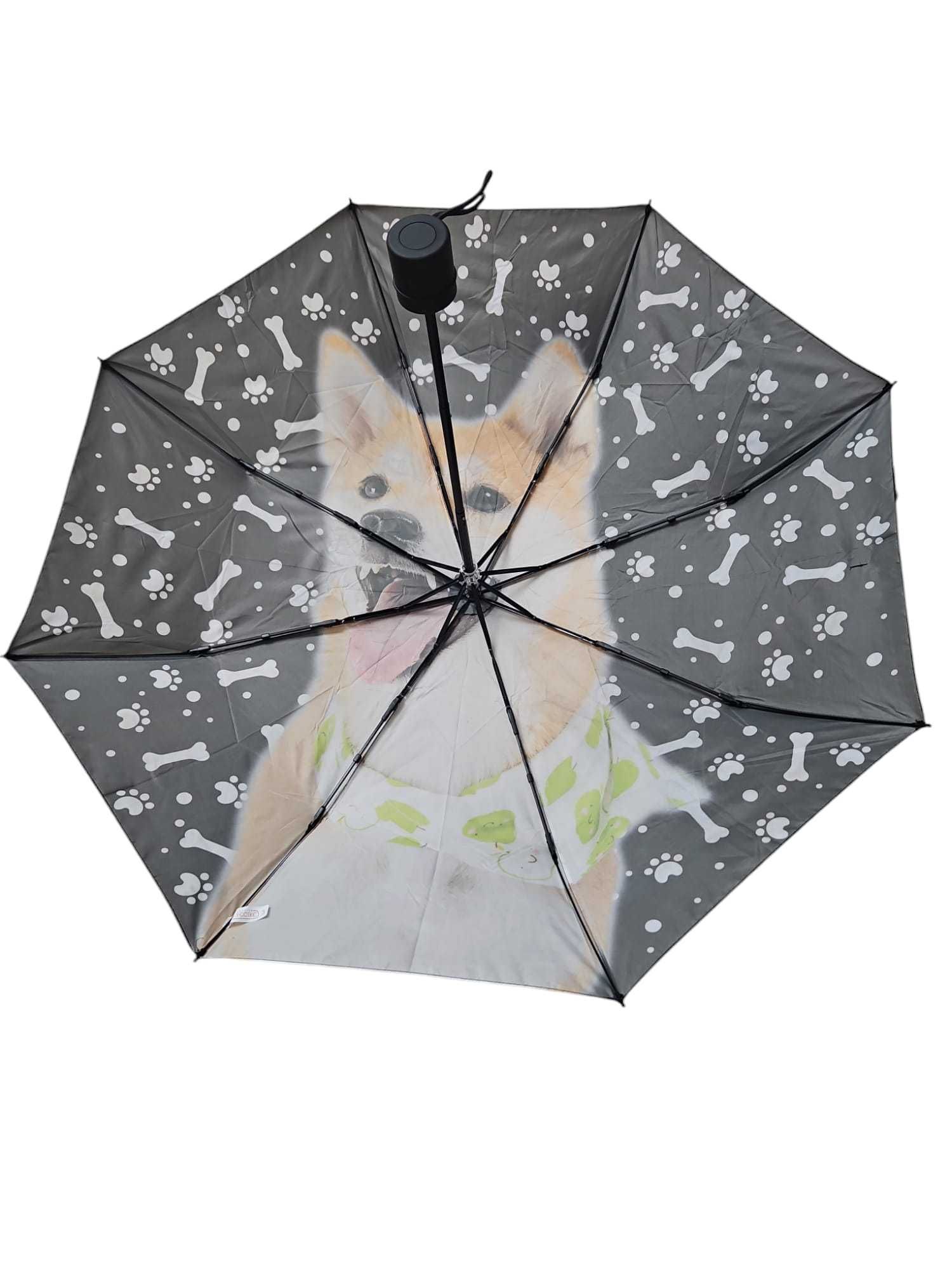 Parasolki/ parasole